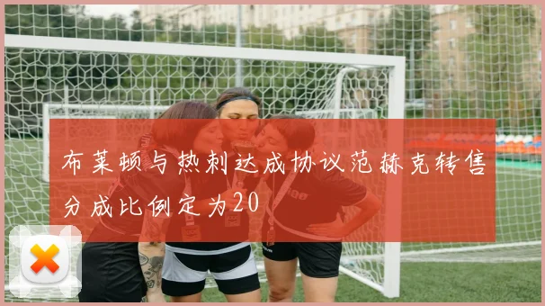 布莱顿与热刺达成协议范赫克转售分成比例定为20