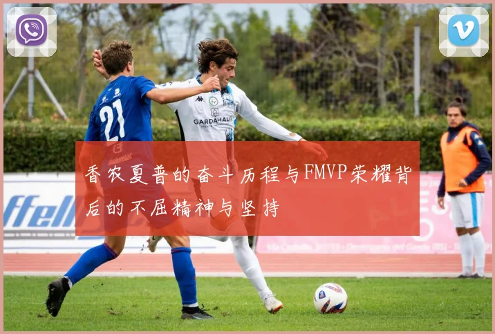 香农夏普的奋斗历程与FMVP荣耀背后的不屈精神与坚持